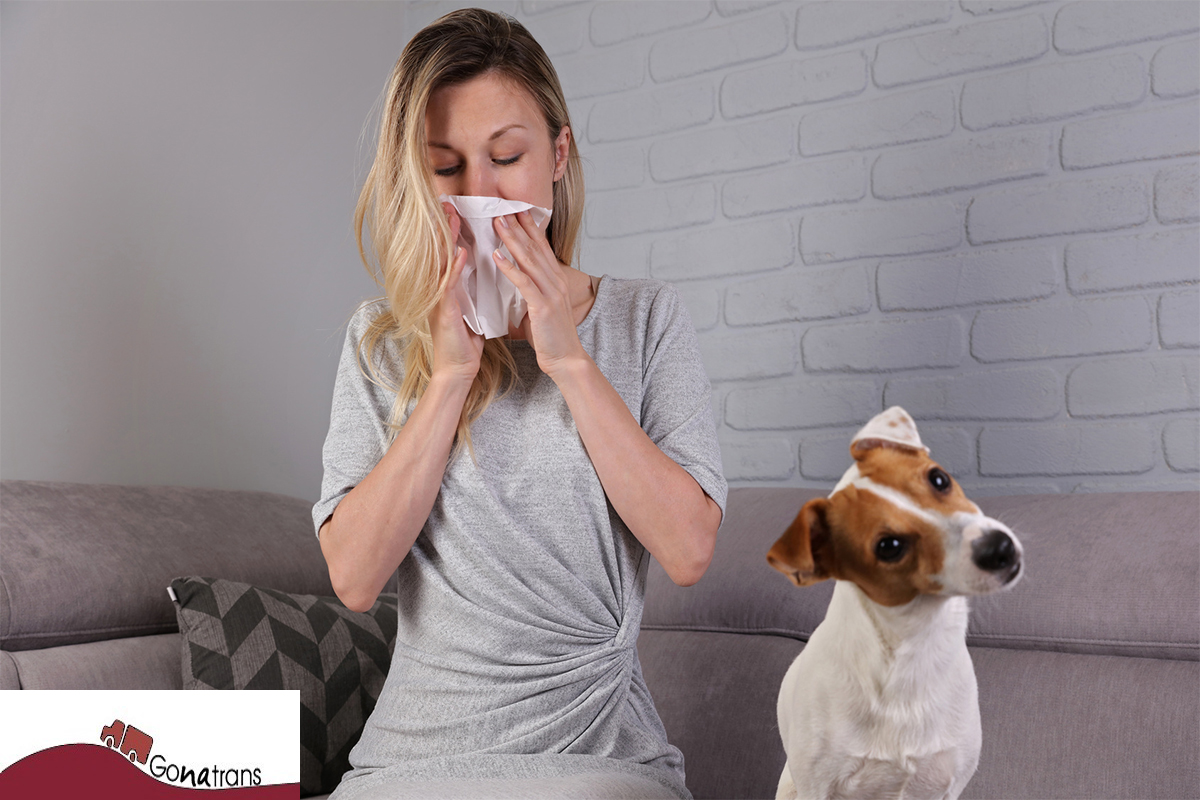 Consejos para combatir las alergias en casa